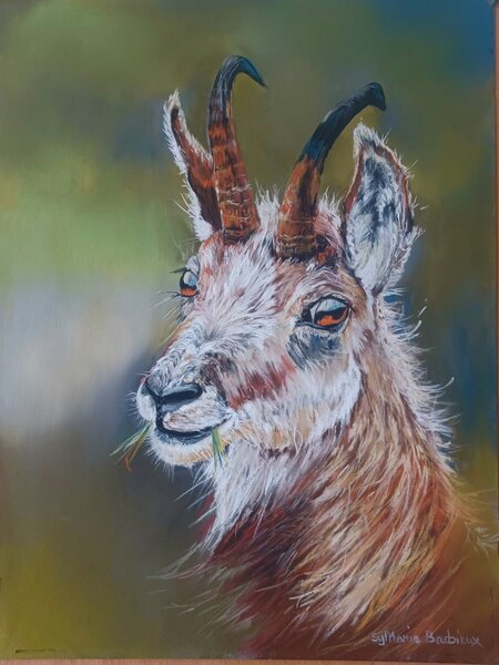 Chamois du Vercors - 40x30
