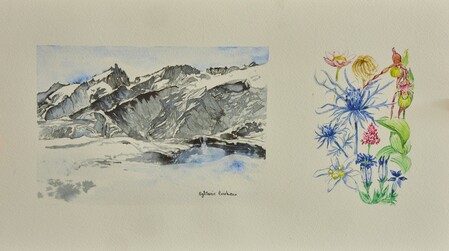 Plateau d'Emparis - 40x20