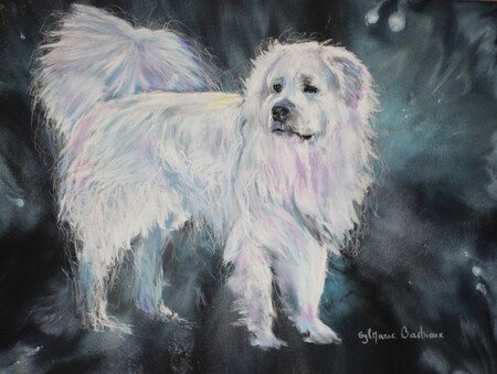 Fidele - 40x30