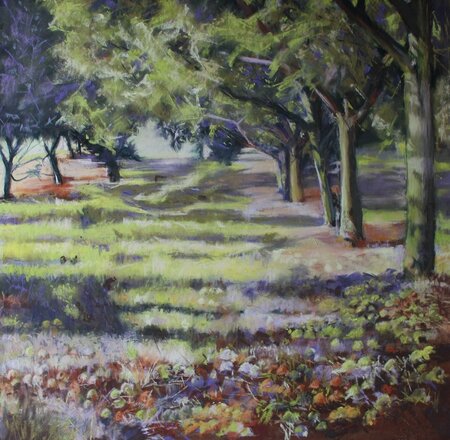 Noyers des Monts du matin - 50x50