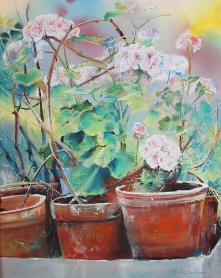G&eacute;raniums de mon jardin - 50x70