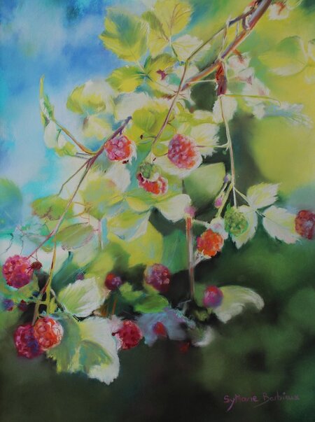 Framboisier de mon jardin - 30x40