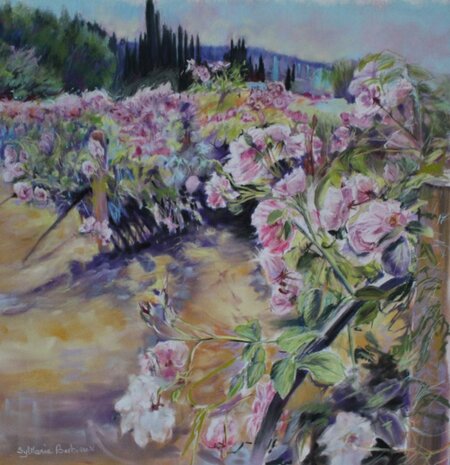 Centifolias - 50x50