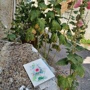 Dans les rues de Lesche en Diois