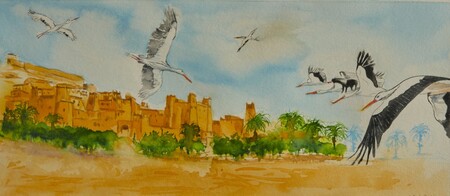 Ait Ben Haddou cigognes - 40x20