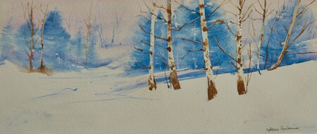 Bouleaux Vercors - 40x20