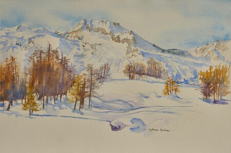 Le Mont Pourri - 45x30